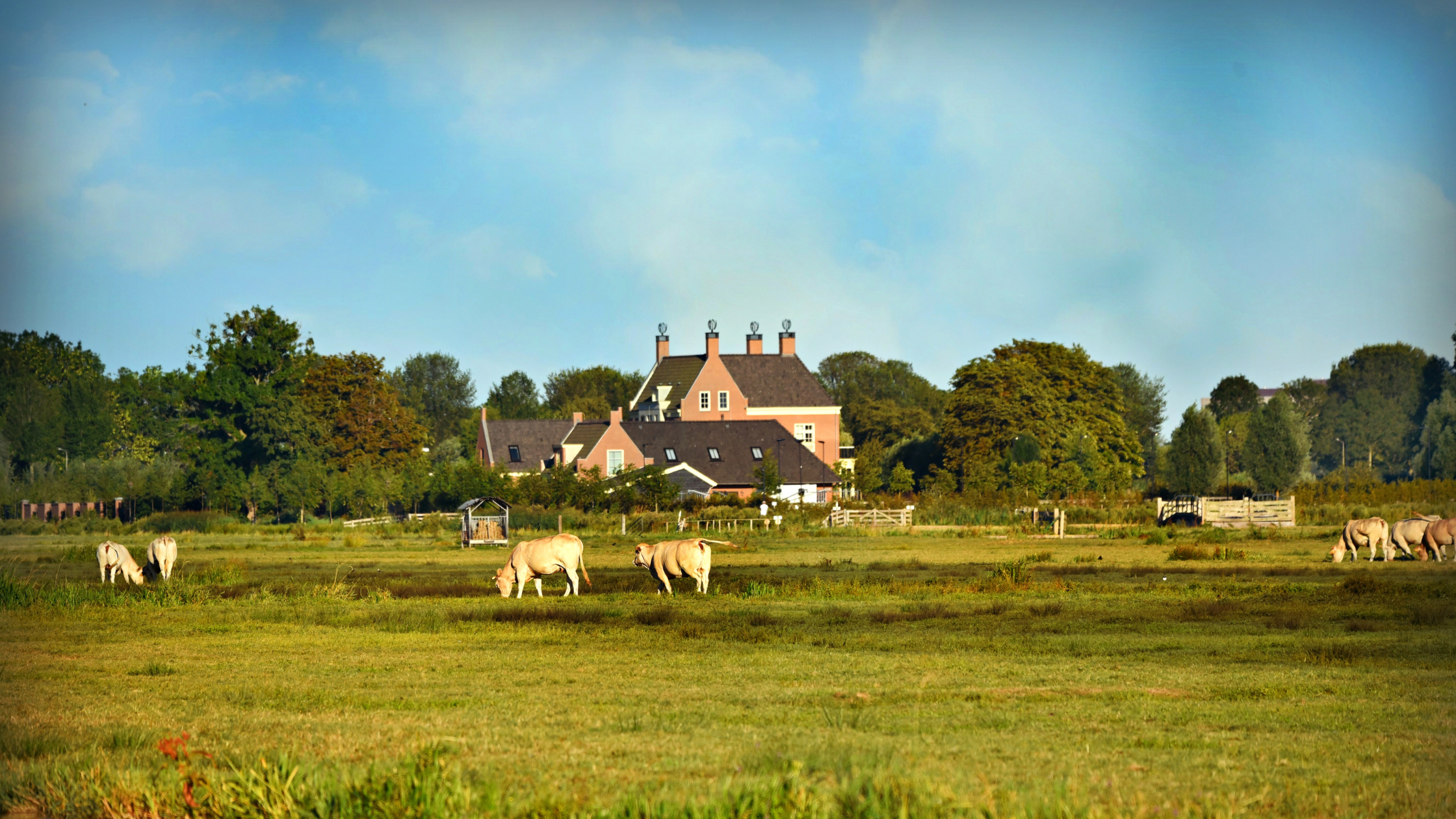 farming tenancies